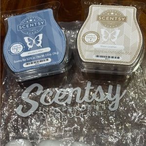 Scentsy 2 wax melts! Sheer leather & mystery man men air freshener NIP